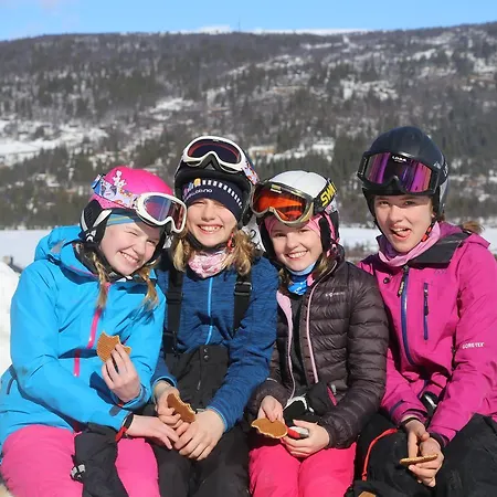 Gomobu Fjellstue Ron