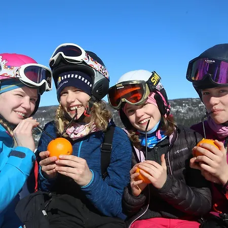 Gomobu Fjellstue Ośrodek wypoczynkowy