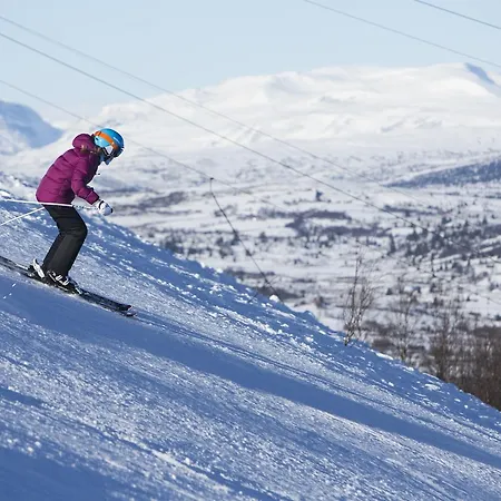 Gomobu Fjellstue 3* Ron