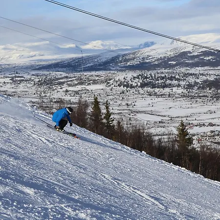Gomobu Fjellstue Ośrodek wypoczynkowy Ron