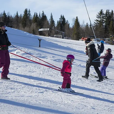 Ośrodek wypoczynkowy Gomobu Fjellstue Ron