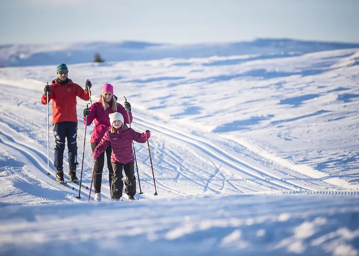 Gomobu Fjellstue Semesteranläggning (resort) Ron