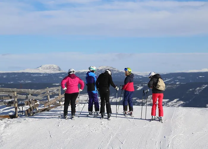리조트 Gomobu Fjellstue