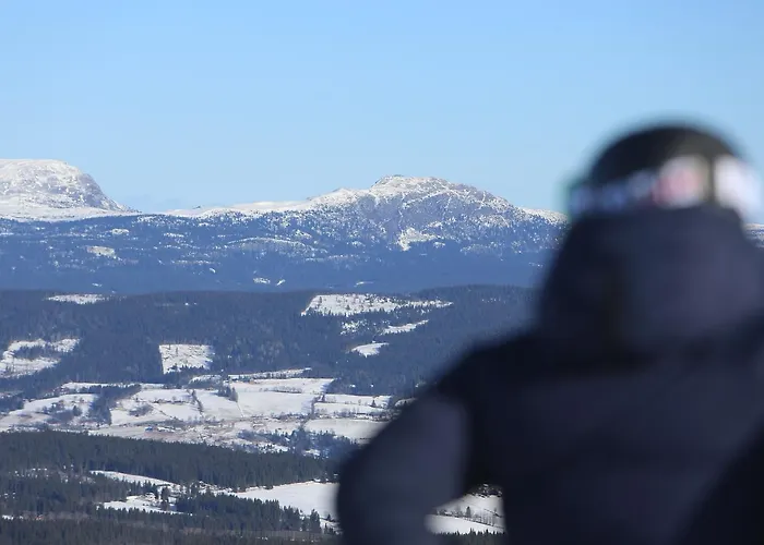 Gomobu Fjellstue 3*