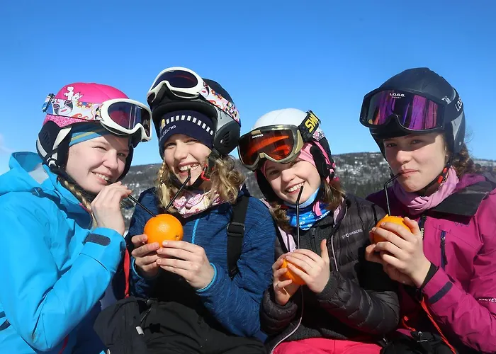 Gomobu Fjellstue Semesteranläggning (resort)