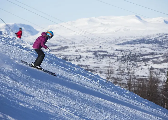 Gomobu Fjellstue 3* Ron