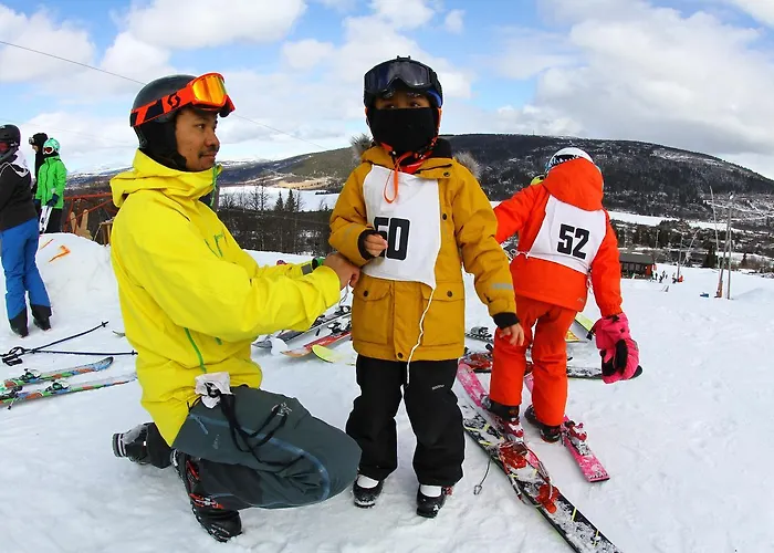 Gomobu Fjellstue Semesteranläggning (resort)