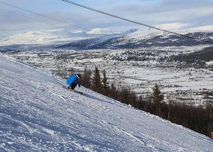 Gomobu Fjellstue Semesteranläggning (resort) Ron