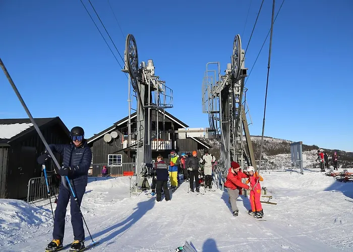Semesteranläggning (resort) Gomobu Fjellstue Ron