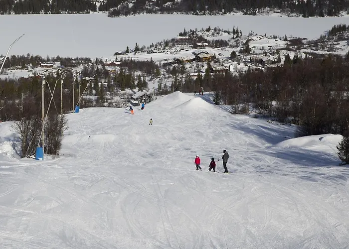 Semesteranläggning (resort) Gomobu Fjellstue