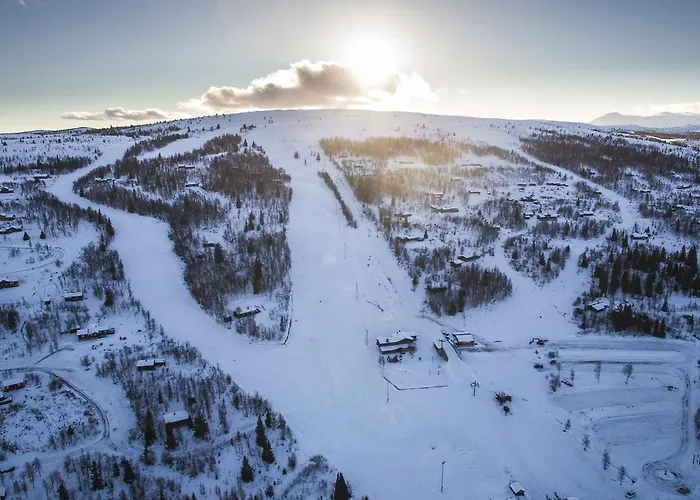 Gomobu Fjellstue 3* Ron