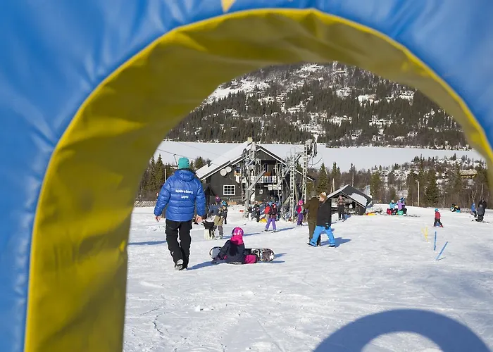 Semesteranläggning (resort) Gomobu Fjellstue