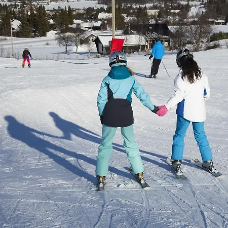Gomobu Fjellstue Ron