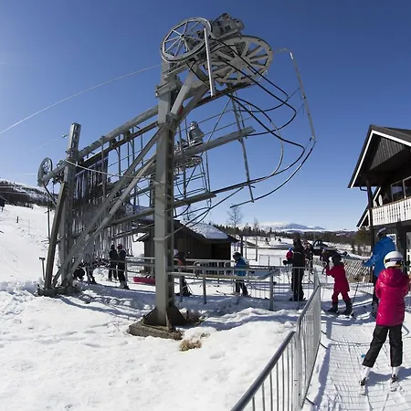 Gomobu Fjellstue 3* Ron