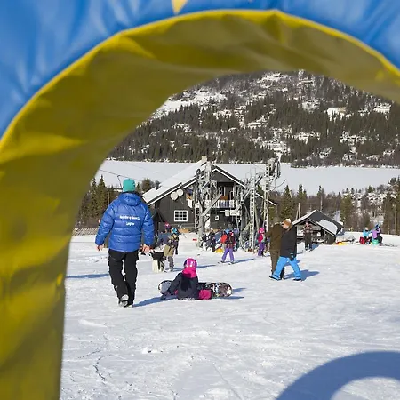 Θέρετρο Gomobu Fjellstue